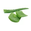 Fresh Aloe Vera