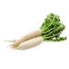 Mooli