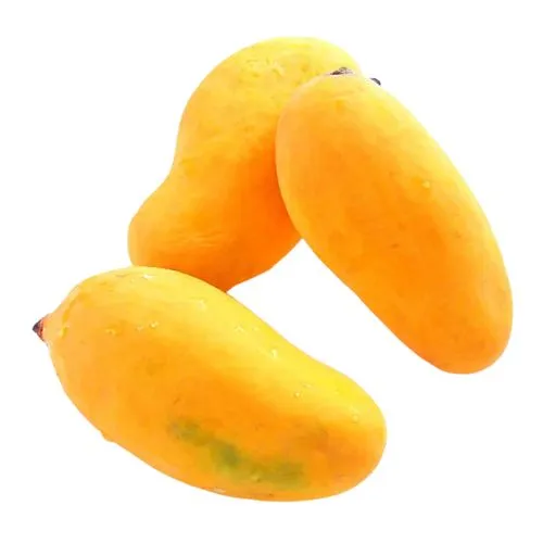 Sindhri Mango